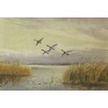 Roland Green (1896-1972), Ducks in Flight, pair of watercolours, both signed, 17 x 26cm