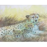 Clifford Charles Turner (1920-2018), Cheetah and cubs, watercolour, signed lower right, 21 x 26cm