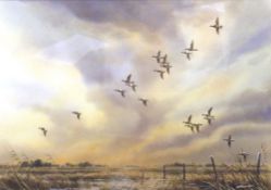 Simon Trinder (born 1958), "Widgeon flighting over the marsh", watercolour, signed lower, 25 x 36cm
