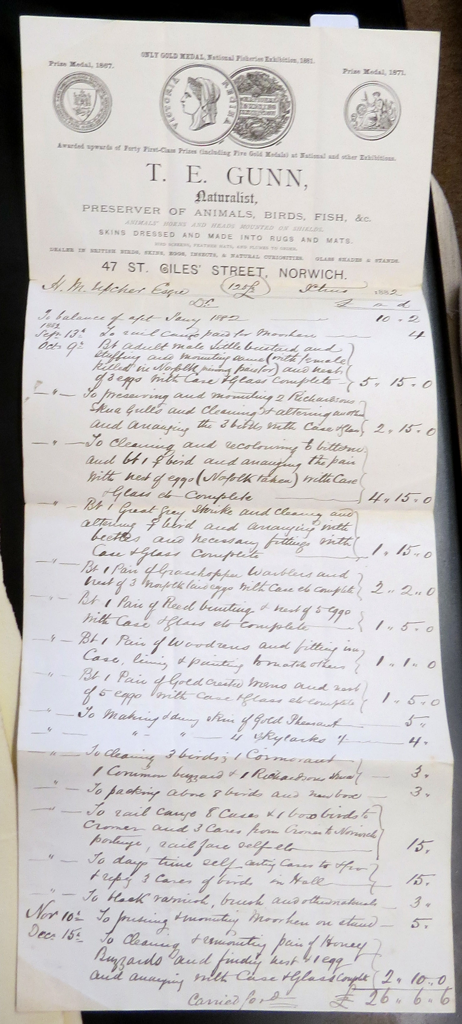 Taxidermy invoice from T E Gunn of 47 St Giles Street, Norwich, dated 1882