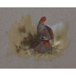 AR Brian Reed (born 1934), English Partridge, watercolour, signed lower left, 16 x 20cms