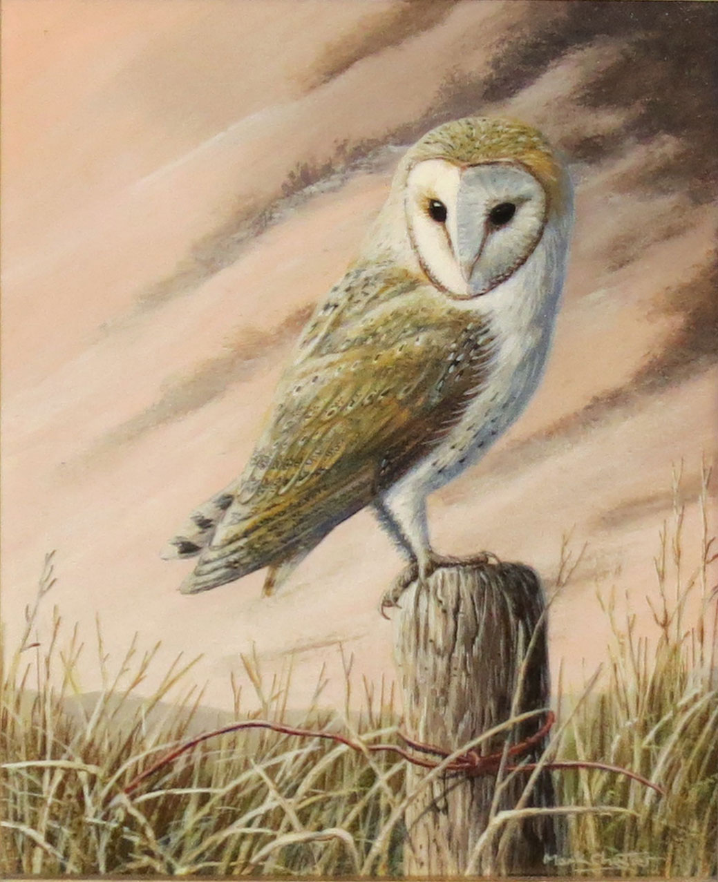 Mark Chester (contemporary), "Evening Lookout - Barn Owl", 24 x 19cm