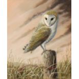 Mark Chester (contemporary), "Evening Lookout - Barn Owl", 24 x 19cm