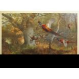 Archibald Thorburn (1860-1935), Bird studies, set of four coloured artists proofs, all signed in
