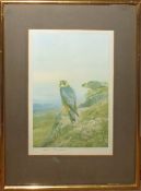 Archibald Thorburn (1860-1935), "Merlin", coloured artist's proof, publisher's blind stamp, signed