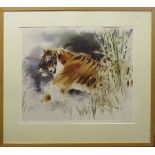 Wolfgang Weber (contemporary), Tiger, coloured print, signed and numbered 597/750 in pencil to