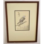 •AR Richard Robjent (Born 1937), Bird of Prey, monotone watercolour, signed and dated 1982 lower