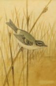 Roland Green (1896-1972), Bird on a reed, 19 x 13cm