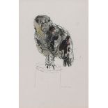 Modern School (20th Century), Study of a Hawk , mixed media, indistinctly signed lower right , 28