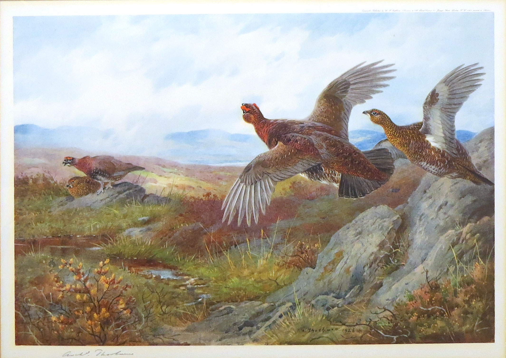 Archibald Thorburn (1860-1935), Bird studies, set of four coloured artists proofs, all signed in - Image 3 of 3