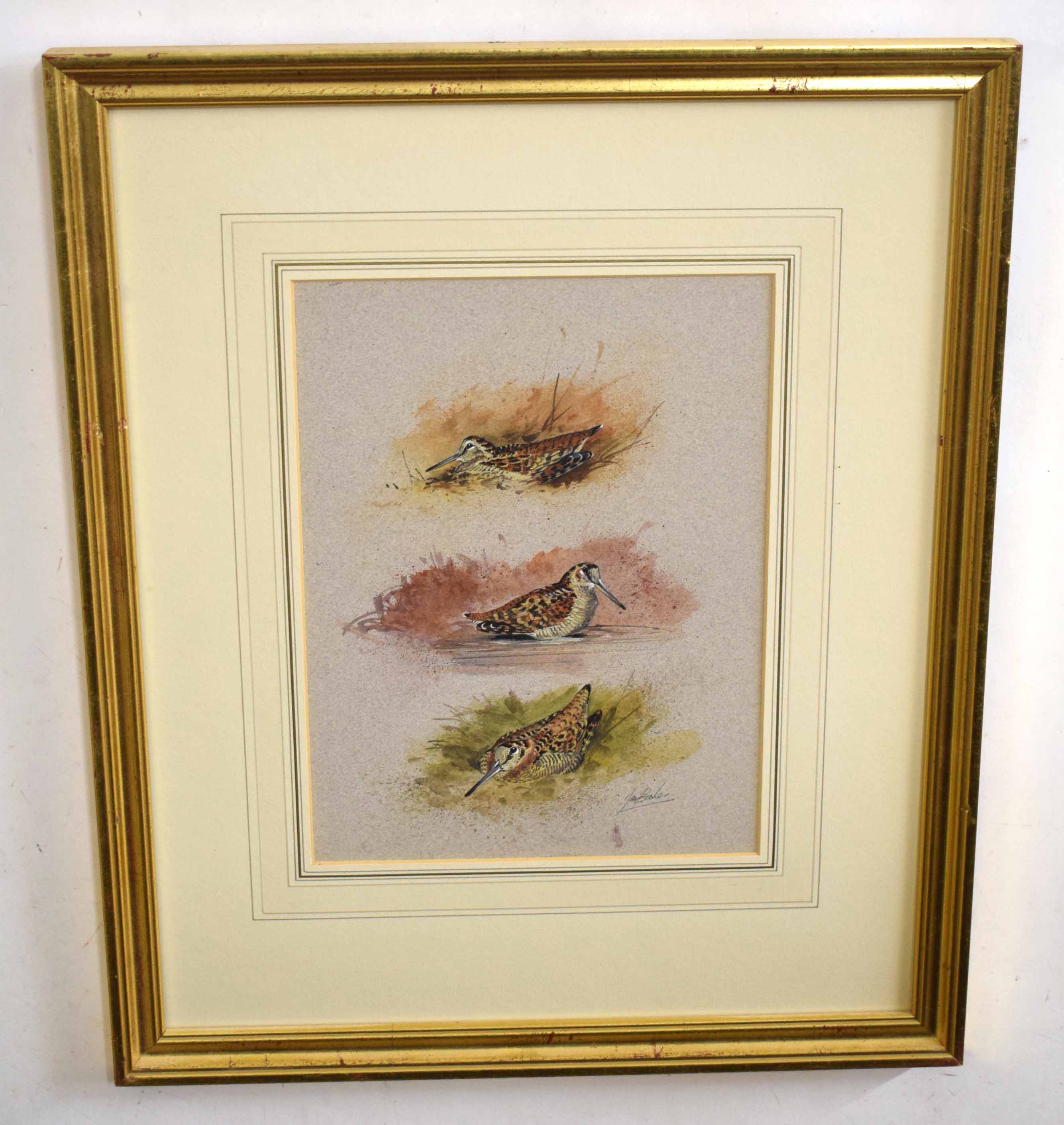Ian Bowles (born 1947), "Pheasant", "Grouse", "Partridge" and "Snipe", set of four watercolours, all