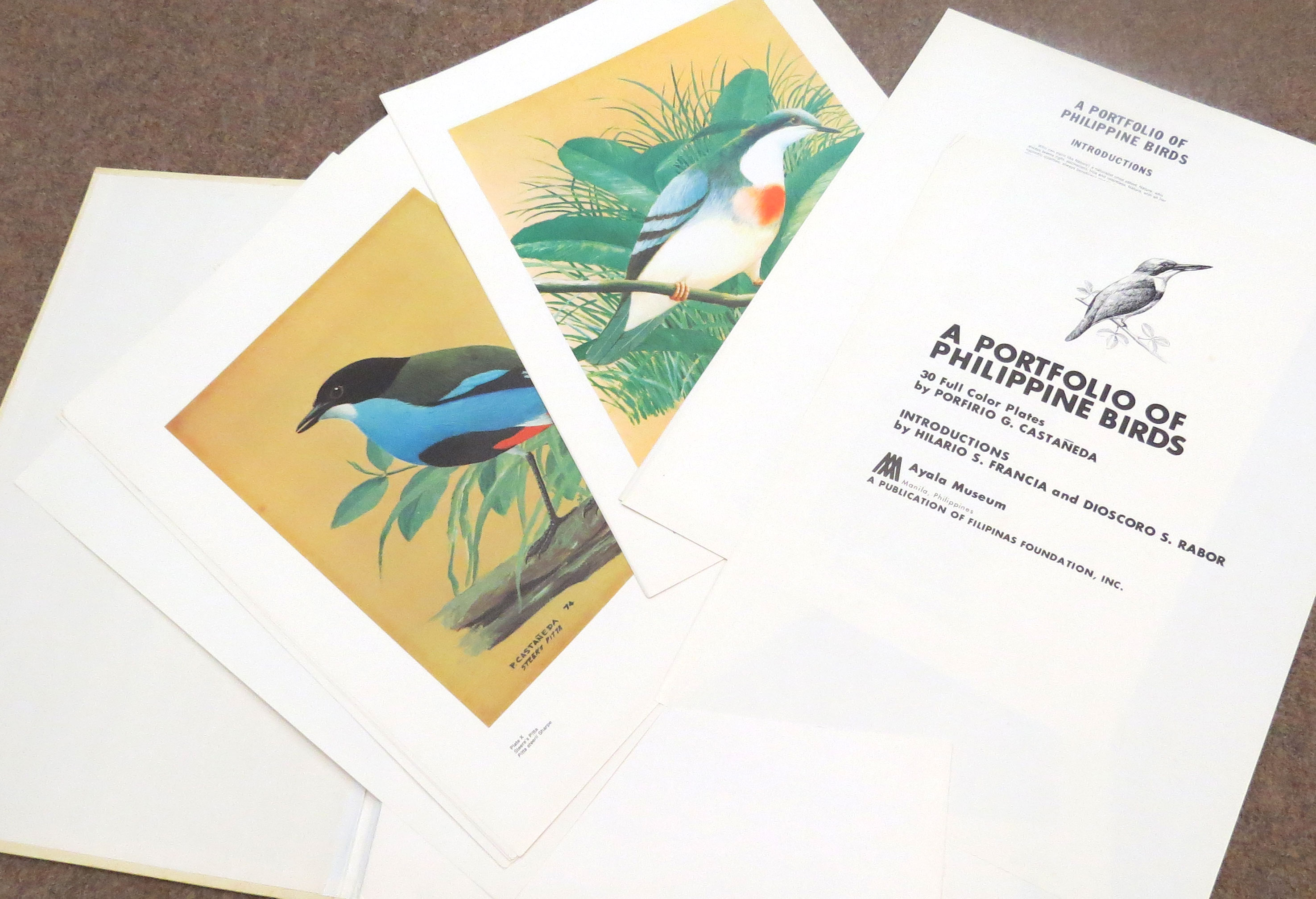 Porfirio Castaneda (20th century), - a portfolio of Phillippine birds, a publication of Filipinas