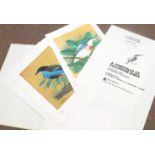 Porfirio Castaneda (20th century), - a portfolio of Phillippine birds, a publication of Filipinas