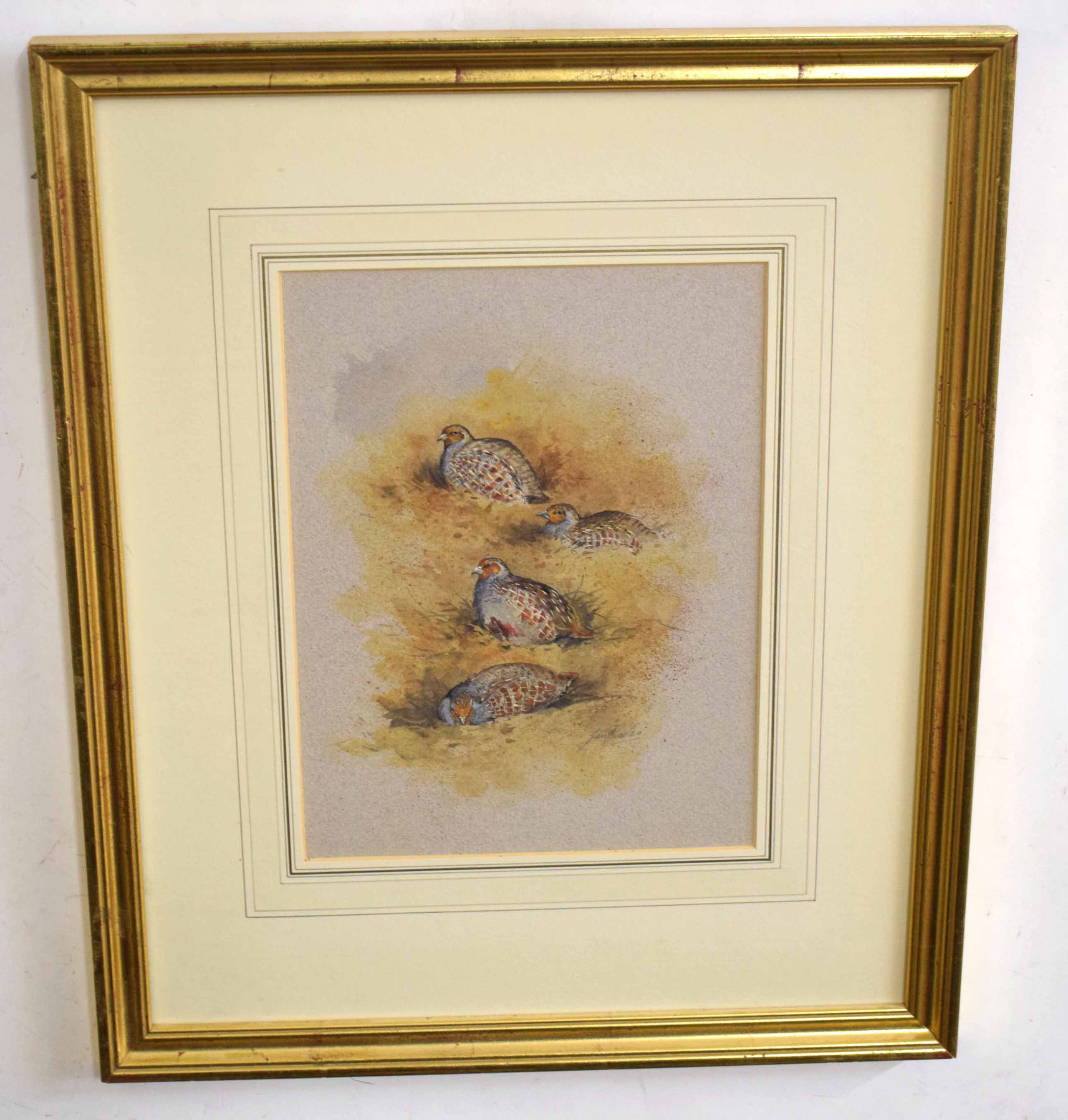 Ian Bowles (born 1947), "Pheasant", "Grouse", "Partridge" and "Snipe", set of four watercolours, all - Image 2 of 4