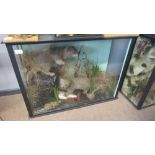 Taxidermy cased pair of Otter cubs in naturalistic setting, 61 x 84cm