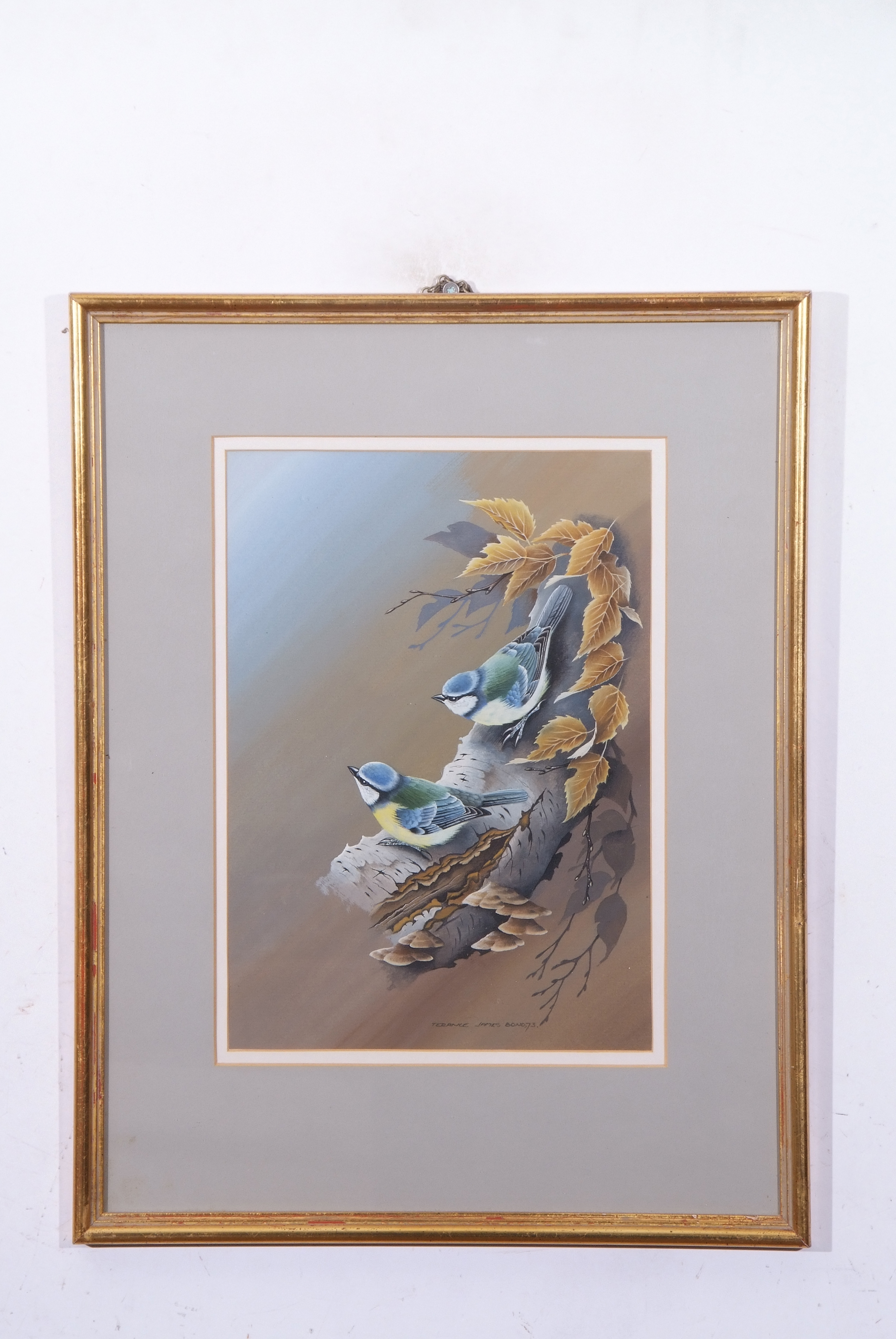 Terence James Bond (born 1946), "Pair of blue titmice", watercolour, signed and dated 73 lower
