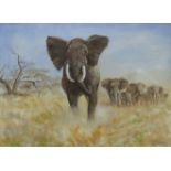 Clifford Charles Turner (1920-2018), Elephants, watercolour, signed lower right, 53 x 72cm