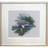 S L Marten (20th century), "Sparrowhawk", watercolour and gouache, signed and inscribed with title