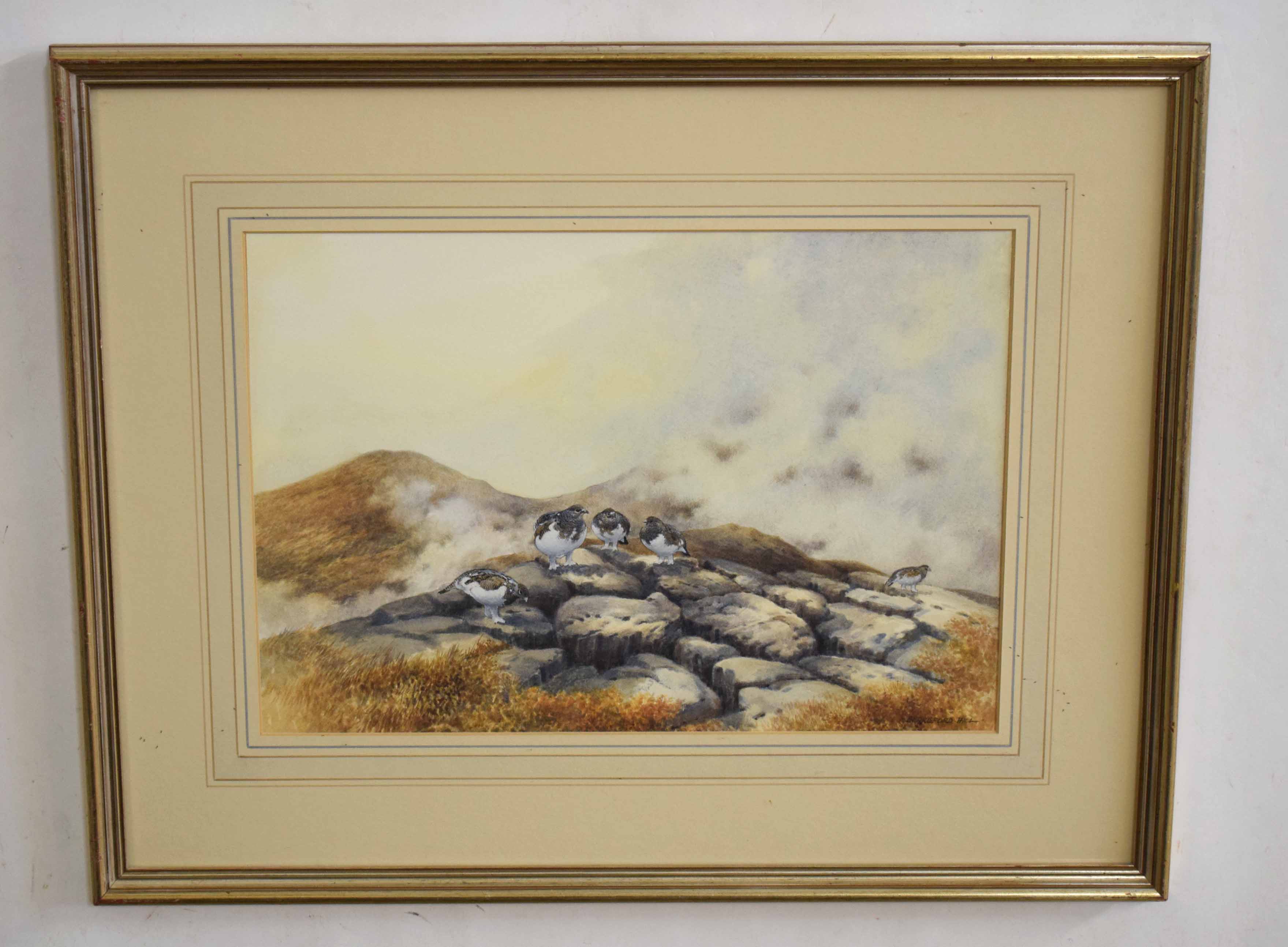 •AR Berrisford Hill (20th Century), Ptarmigan on the Moors, watercolour, signed lower right, 25 x