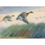 •AR Frank Southgate RBA, (1872-1916) , Teal Alighting, watercolour, signed lower right, 10 x 13cm