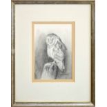 •AR Simon Gudgeon (Born 1958), Owl on a Stump, Pencil drawing, signed lower right, 22 x 16cms