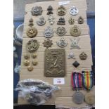 MOUNTED MILITARIA MAINLY BADGES AND MEDALS