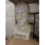 CHINA BUST OF A GENT PHRENOLOGY BY L.N. FLOWER