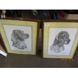 TWO FRAMED PRINTS OF ENGLISH SETTER DOGS