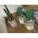 Succulents In Jars 3 Designs, , RRP £5.45