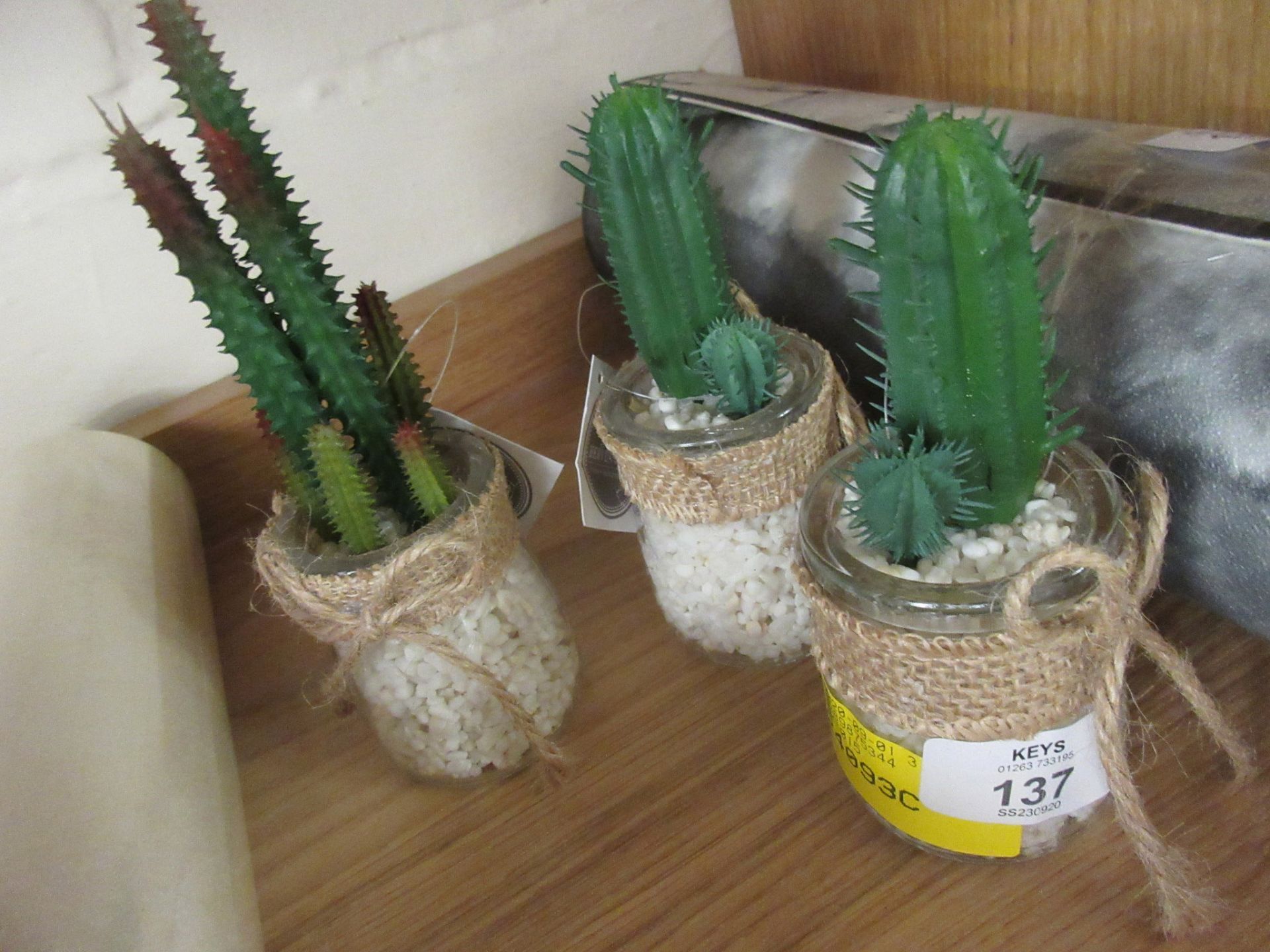 Succulents In Jars 3 Designs, , RRP £5.45