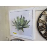 'Zebra Cactus' Framed Watercolour Painting Print, Size: 51cm H x 51cm W x 3.81cm D, RRP £114.99