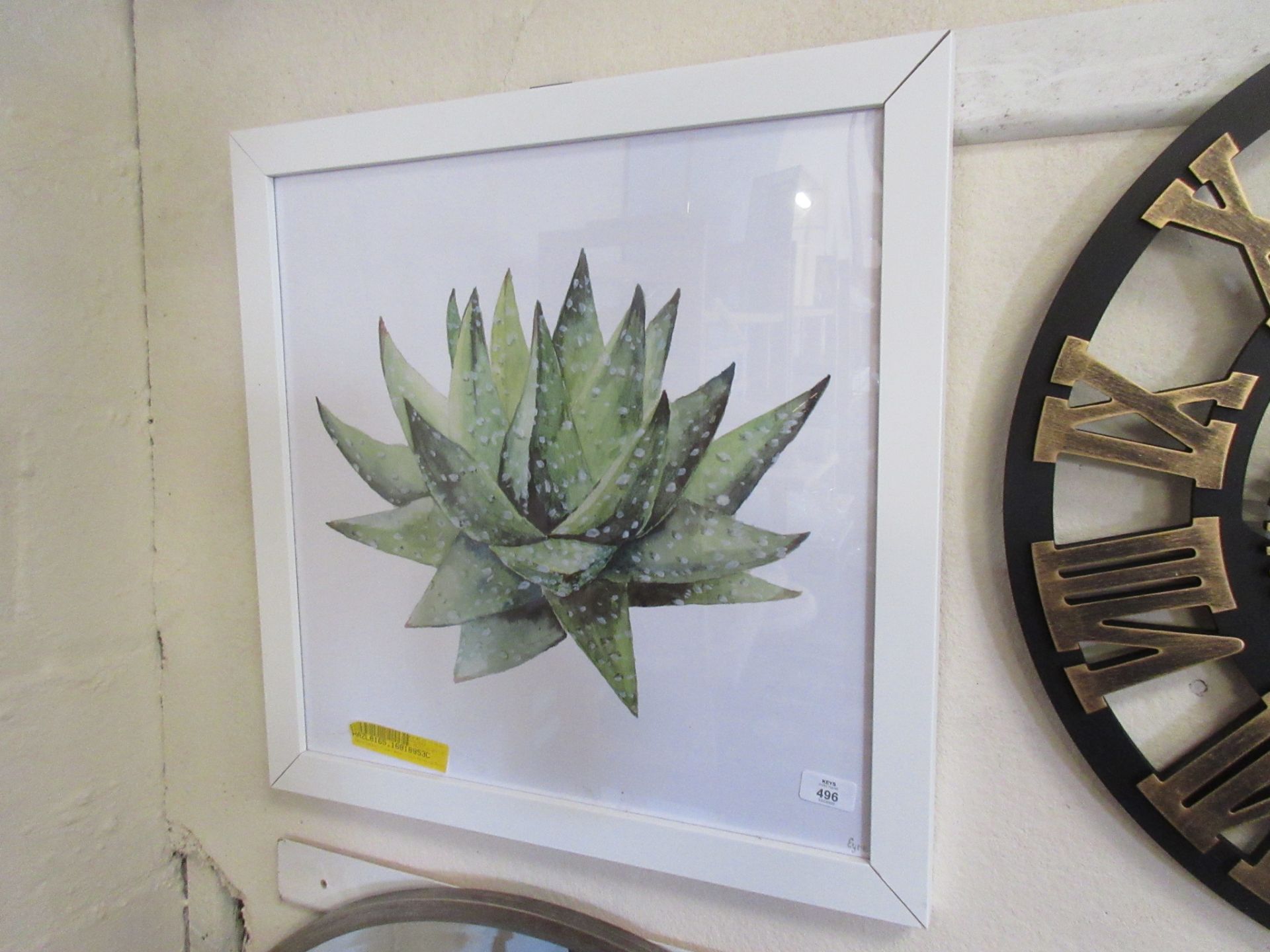 'Zebra Cactus' Framed Watercolour Painting Print, Size: 51cm H x 51cm W x 3.81cm D, RRP £114.99