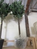 2 Piece Topiary Bay Tree, Size: 90cm H x 20cm W x 20cm D, RRP £81.99