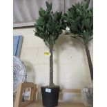 2 Piece Topiary Bay Tree, Size: 90cm H x 20cm W x 20cm D, RRP £81.99