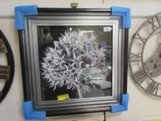 'Black Allium I' Framed Photograph in Black/White, , RRP £58.99