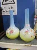 PAIR OF BOTTLE TYPE VASES WITH FLORAL DECORATION