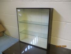 SMALL GLAZED AND FITTED WALL MOUNTING DISPLAY CABINET, 48.5CM WIDE