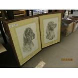 PAIR OF PICTURES OF DOGS, ENGLISH AND IRISH SETTER, BY SIBLEY, IN OAK FRAMES