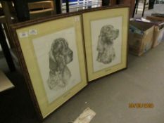 PAIR OF PICTURES OF DOGS, ENGLISH AND IRISH SETTER, BY SIBLEY, IN OAK FRAMES