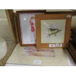 GROUP OF PRINTS OF BIRDS AND OTHER PICTURES IN WOODEN MOUNTS