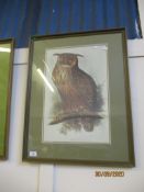 MODERN PRINT OF AN EAGLE OWL