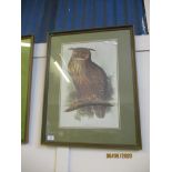 MODERN PRINT OF AN EAGLE OWL