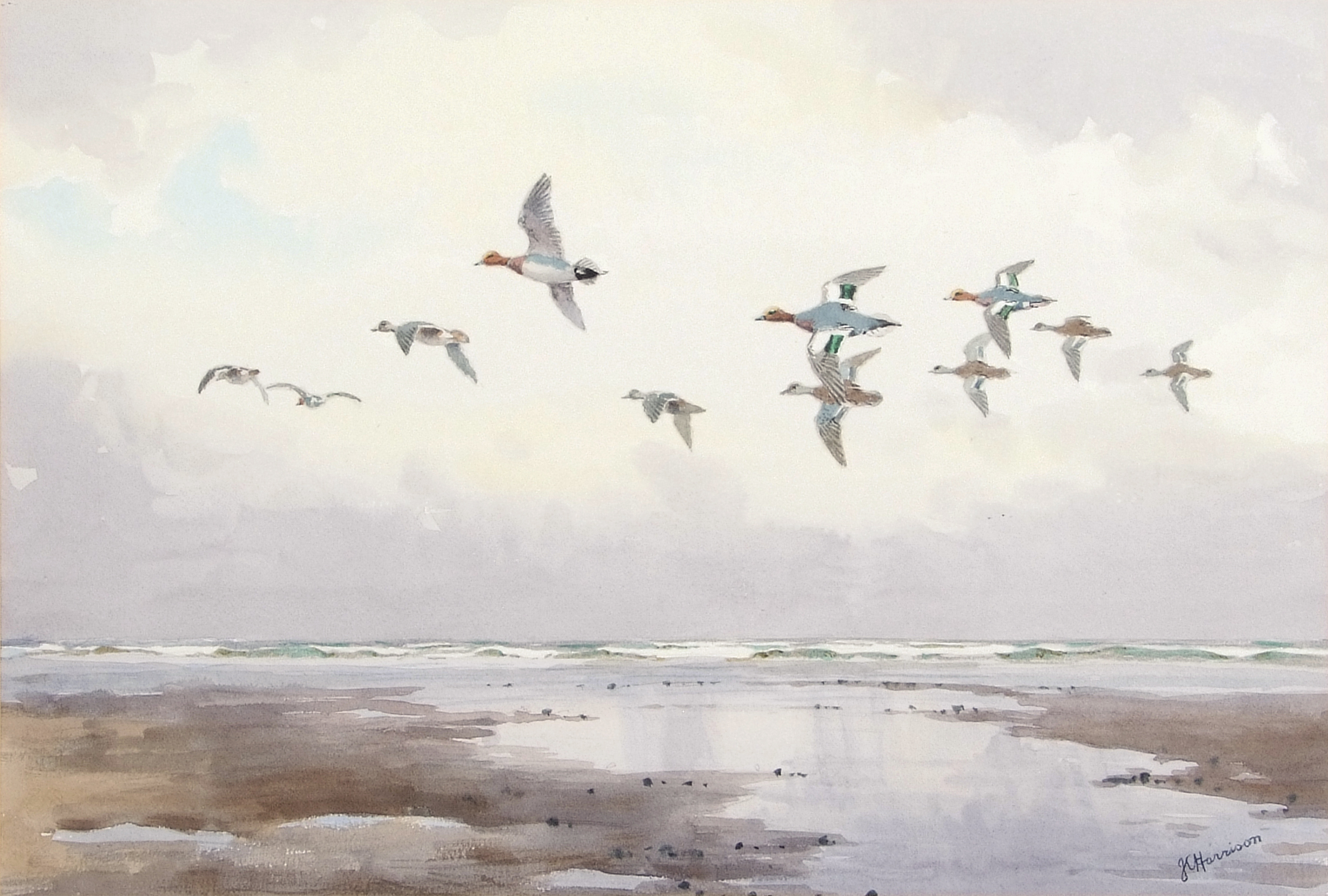 •AR John Cyril Harrison (1898-1985), "Over the tideway - Widgeon", watercolour, signed lower