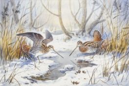 Carl Donner (born 1957), "Snipe in a snowy woodland", watercolour, signed lower right, 35 x 53cm