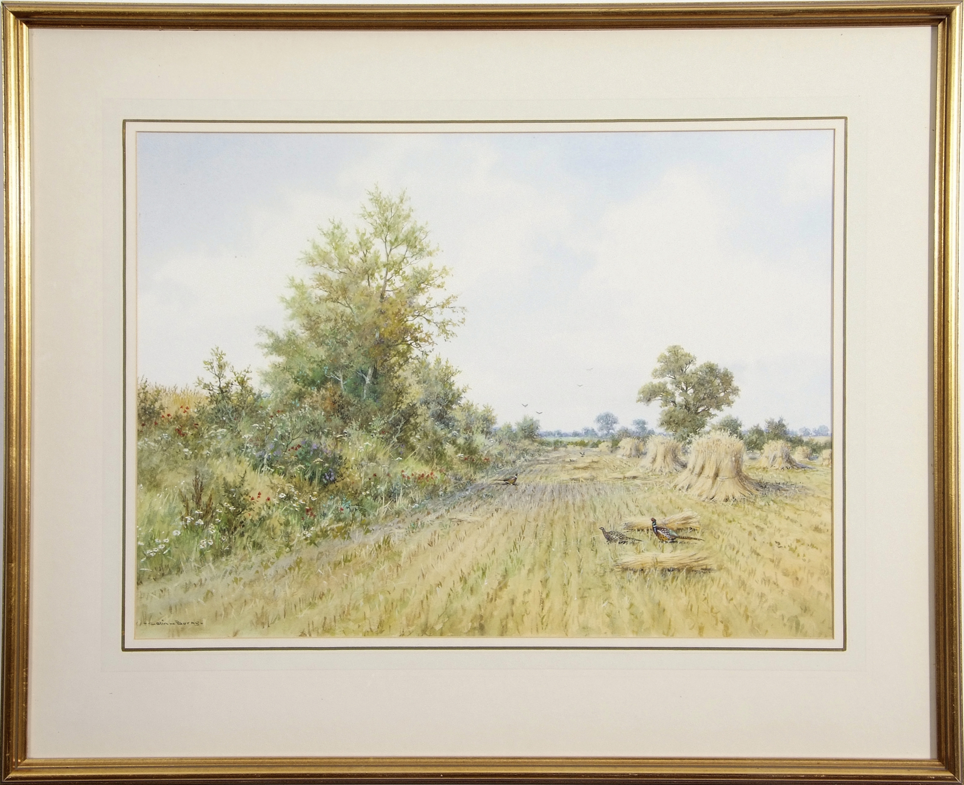 •AR Colin W Burns (born 1944), "Fledgling on the stubble", watercolour, signed lower left, inscribed