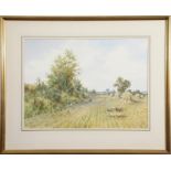 •AR Colin W Burns (born 1944), "Fledgling on the stubble", watercolour, signed lower left, inscribed