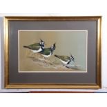 Terence James Bond (born 1946), Lapwings, watercolour, signed and dated 1975 lower right, 38 x 64cm