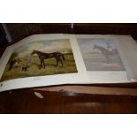 DERBY PORTFOLIO, PRINTS OF RACEHORSES