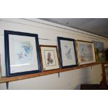 VARIOUS PICTURES AND PRINTS DEPICTING BIRDS