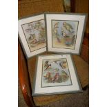SET OF THREE COLOURED LITHOGRAPHS DEPICTING BIRDS